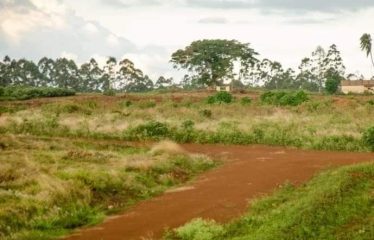 Riverline Ridges Ruiru