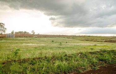 Riverline Ridges Ruiru