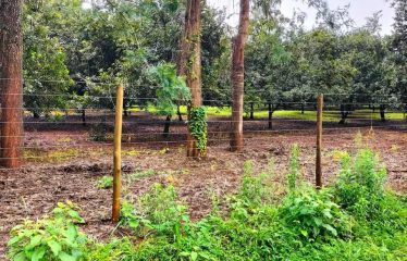 Vantage View Estate Juja