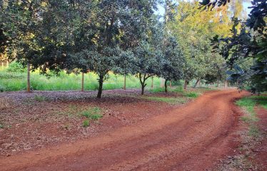 Vantage View Estate Juja